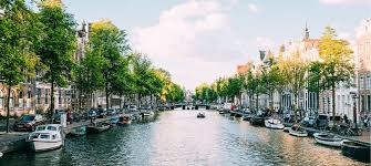 Ontdek de Natuur en Recreatie in het Bosrijk Nederland