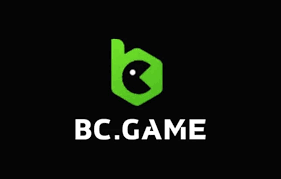 Exploring BC.Game Hub A Comprehensive Guide to Online Gaming