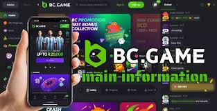 Step-by-Step Guide to BC.Game PK Registration Process