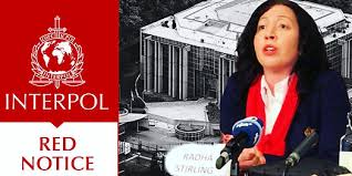 Understanding and Navigating Interpol Red Notice Removal 1331378754